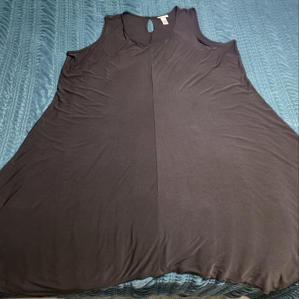 Women's Dress (Size 4X)